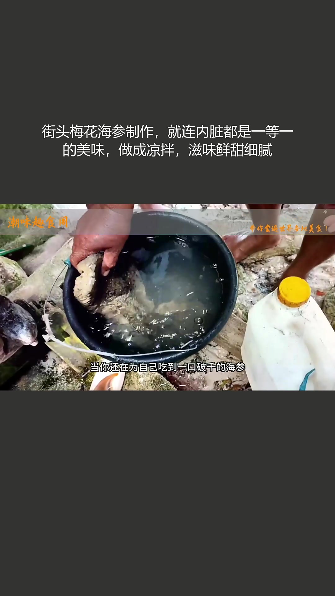 街头梅花海参内脏也美味,凉拌滋味鲜甜细腻
