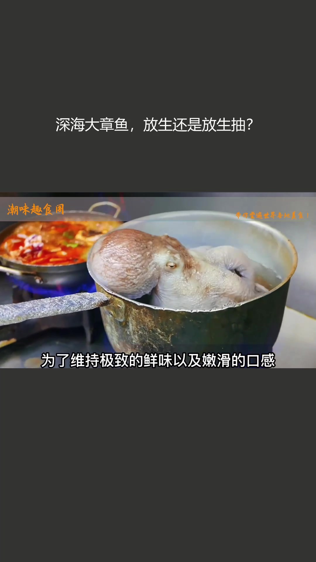 深海大章鱼,放生还是放生抽?