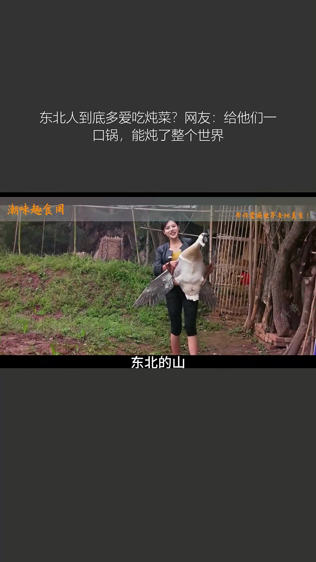 东北人到底多爱吃炖菜?网友:给他们一口锅,能炖了整个世界