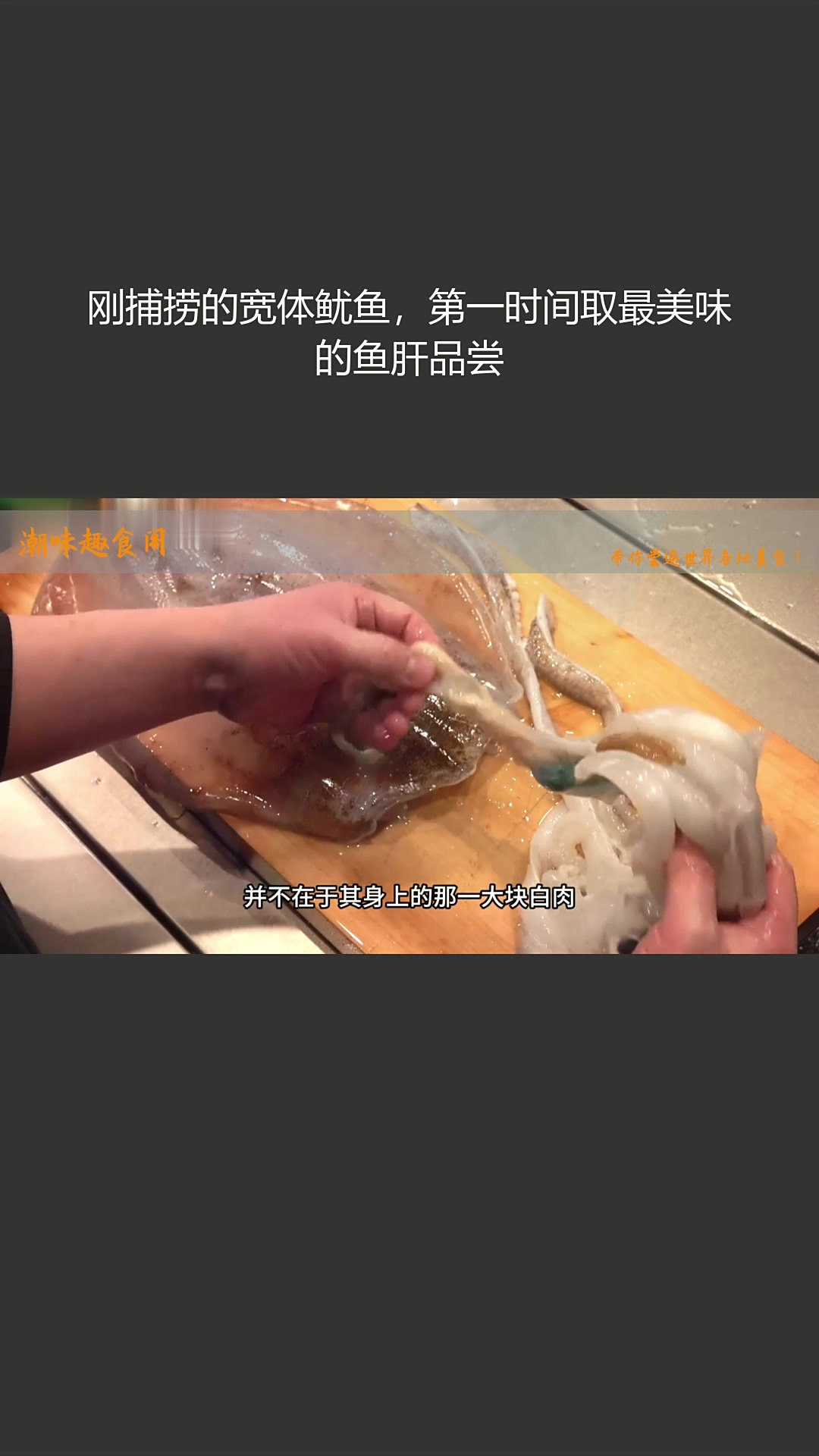 刚捕捞的宽体鱿鱼,第一时间取最美味的鱼肝品尝