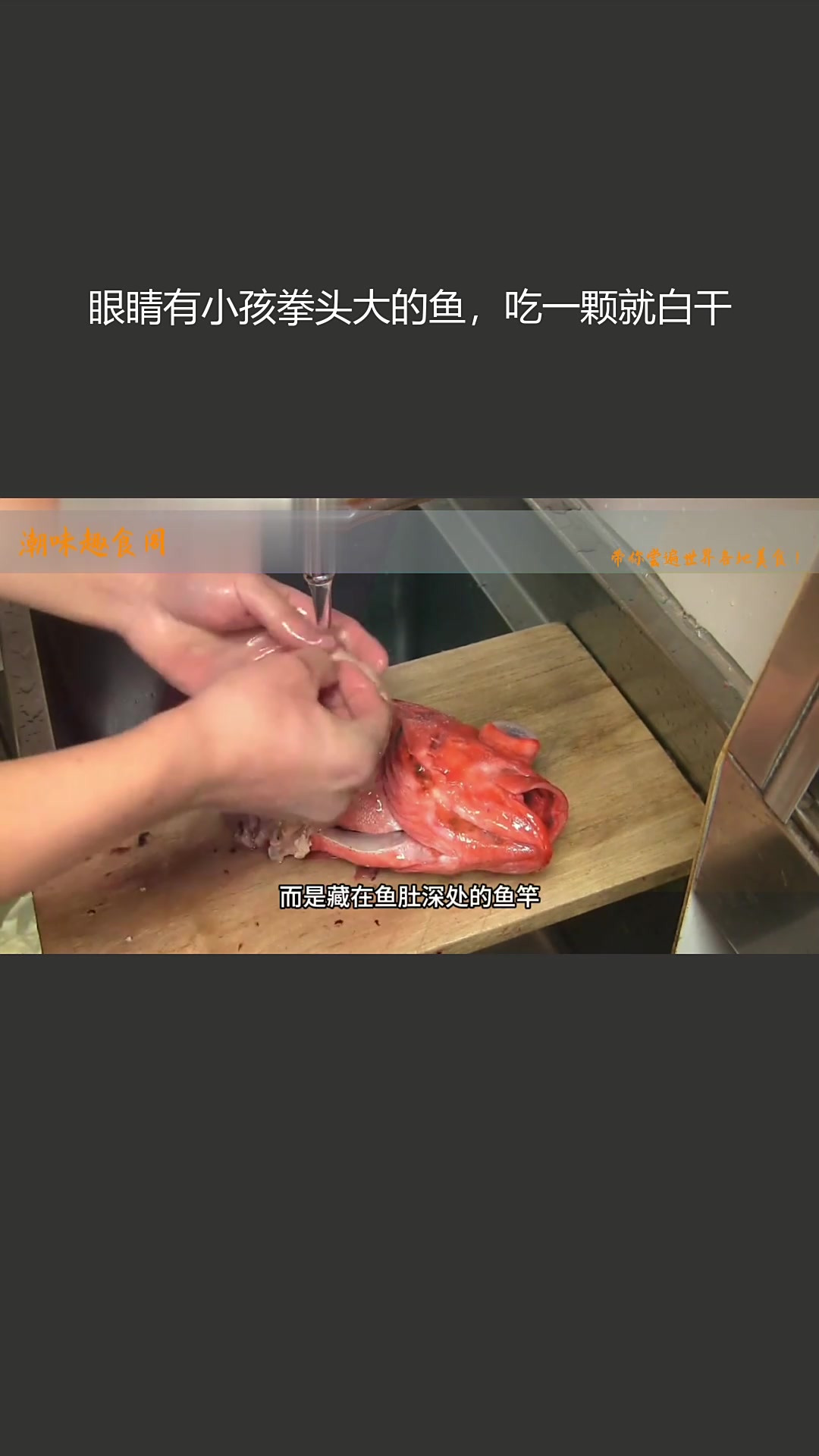 眼睛有小孩拳头大的鱼,吃一颗就白干
