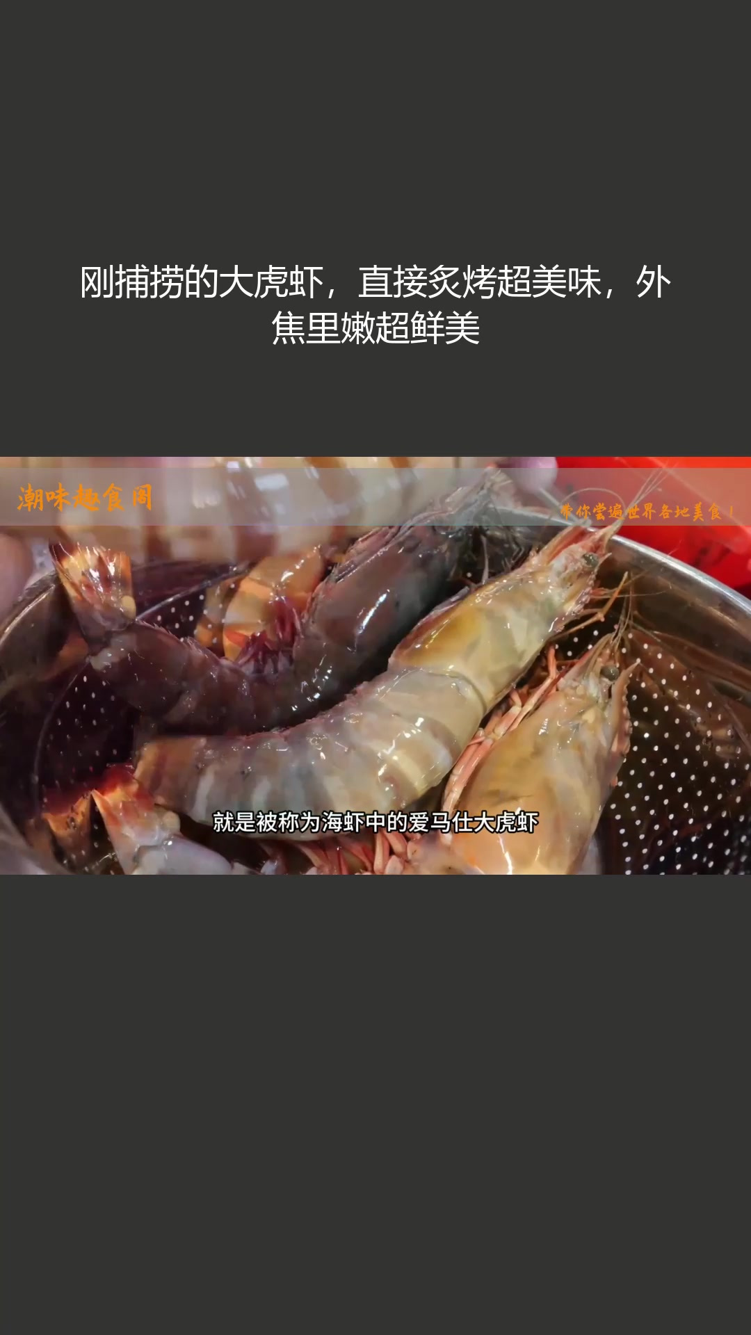 刚捕捞的大虎虾,直接炙烤超美味,外焦里嫩超鲜美