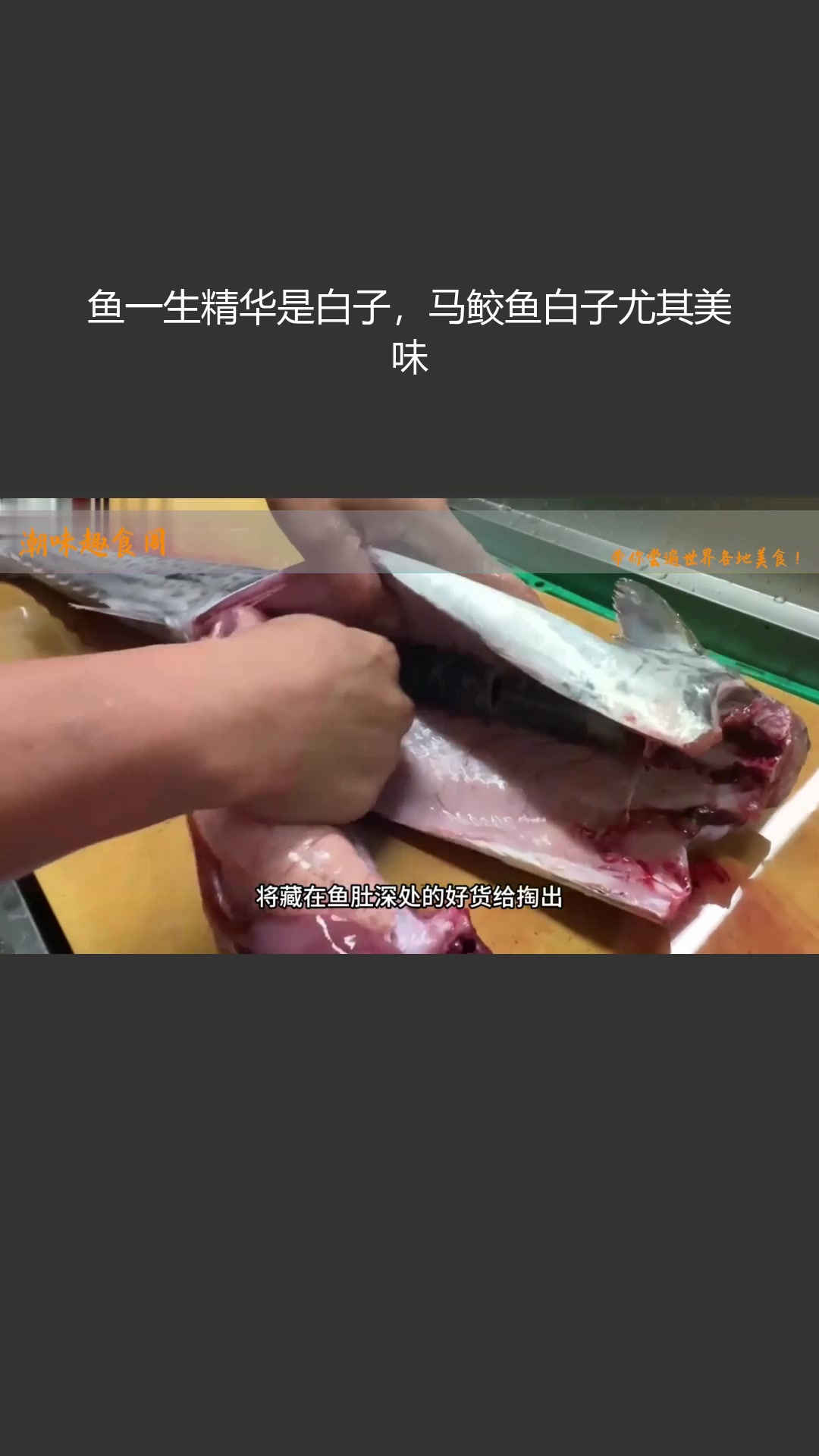 鱼一生精华是白子,马鲛鱼白子尤其美味