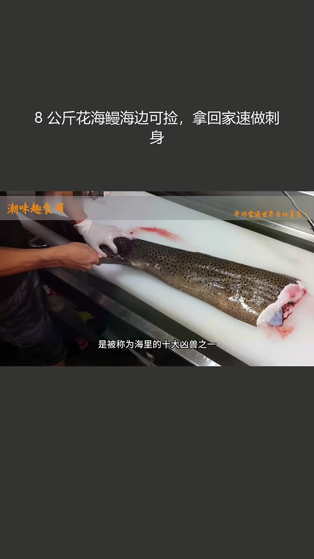 8 公斤花海鳗海边可捡,拿回家速做刺身