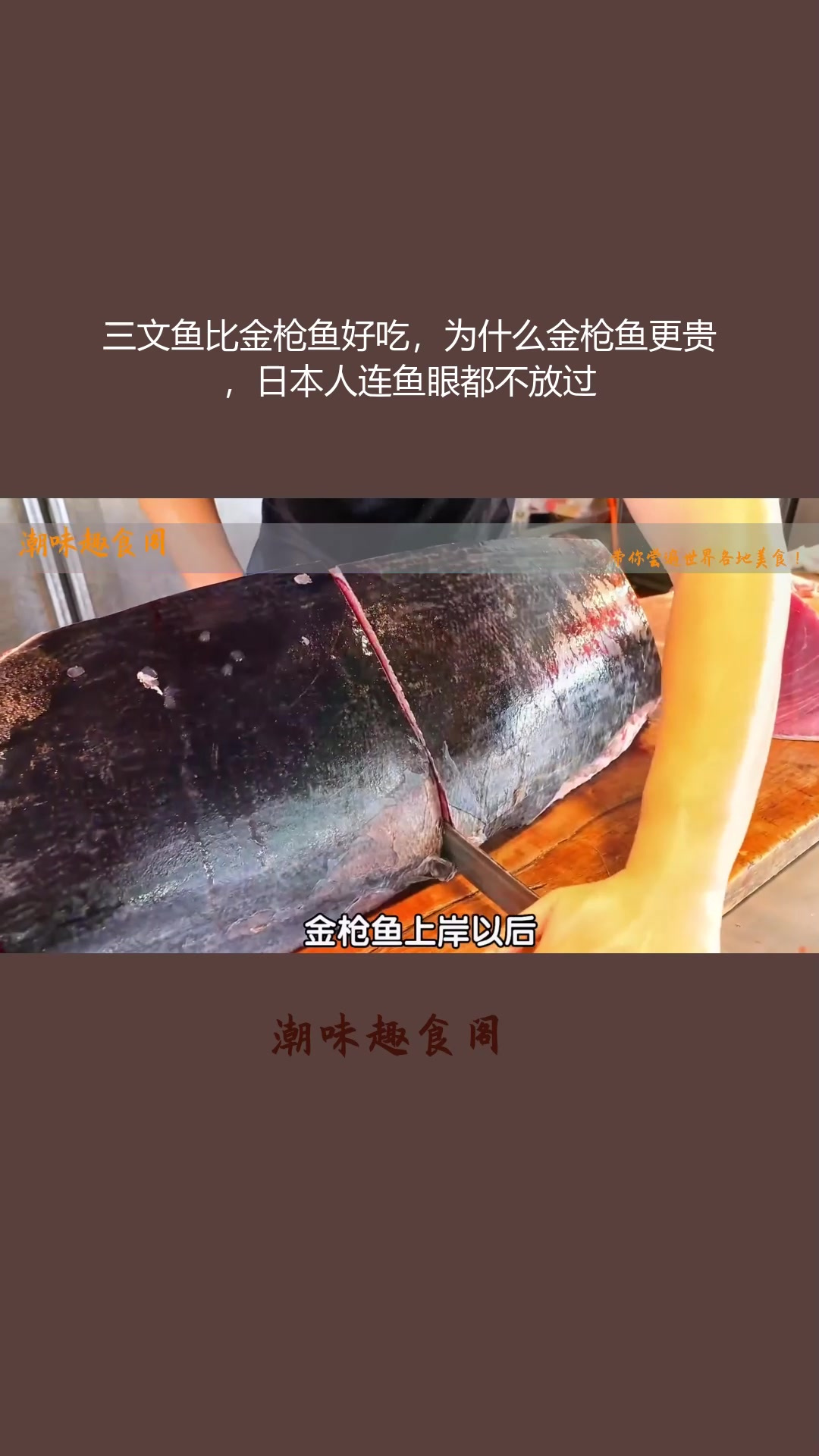 三文鱼比金枪鱼好吃,为什么金枪鱼更贵,日本人连鱼眼都不放过