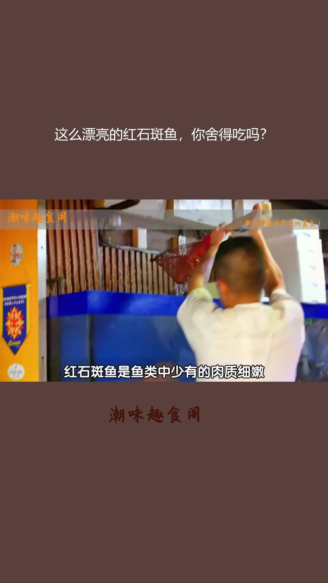 这么漂亮的红石斑鱼,你舍得吃吗?(1)