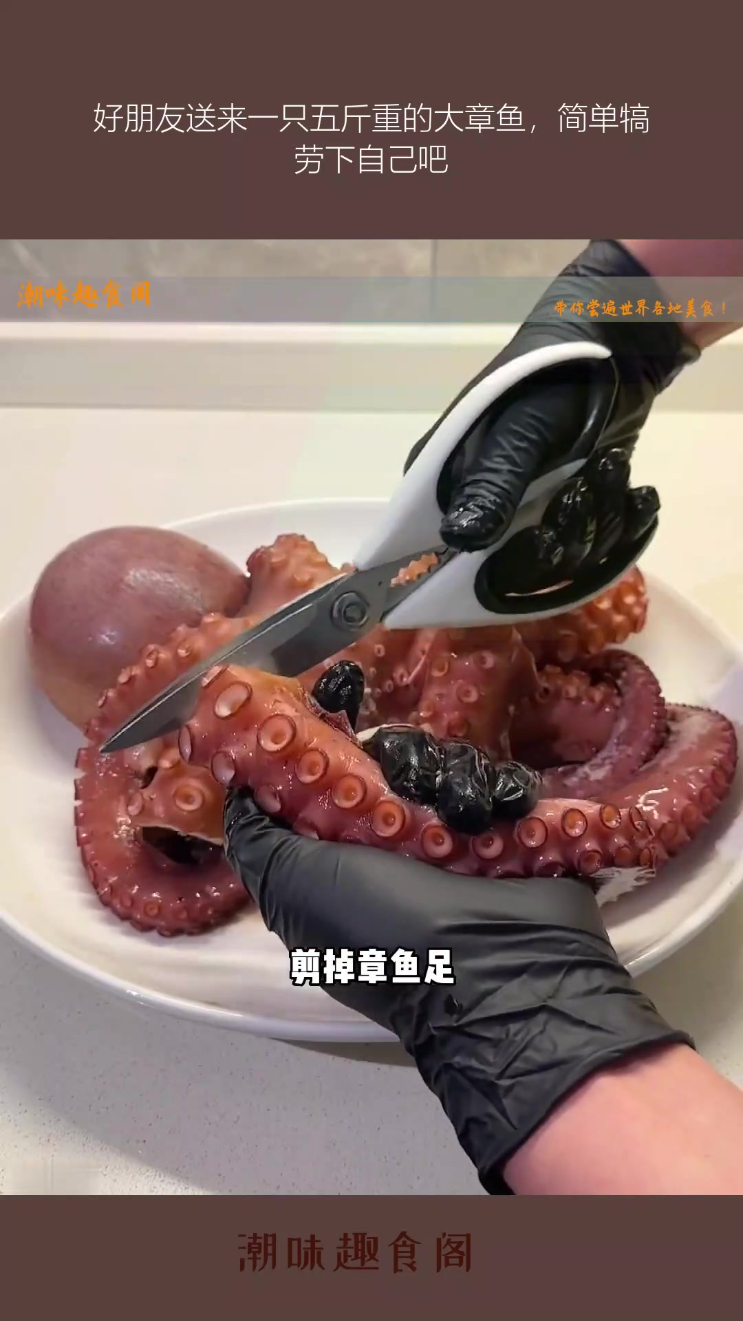 好朋友送来一只五斤重的大章鱼,简单犒劳下自己吧