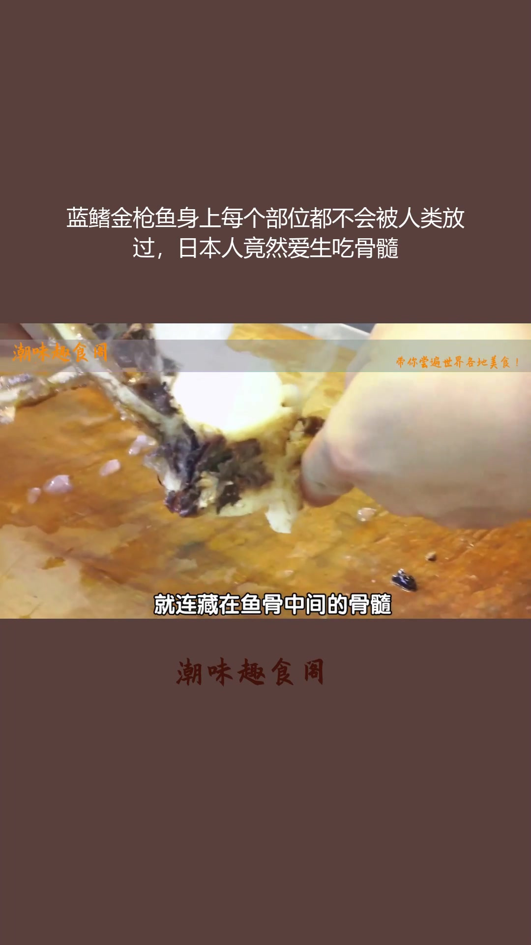 蓝鳍金枪鱼身上每个部位都不会被人类放过,日本人竟然爱生吃骨髓