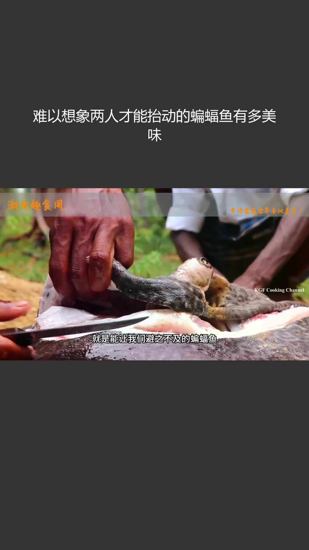 难以想象两人才能抬动的蝙蝠鱼有多美味