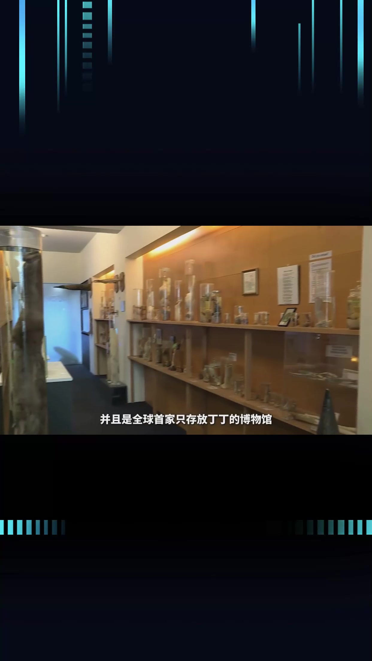 一分钟带你了解,全球首家只存放丁丁的博物馆!
