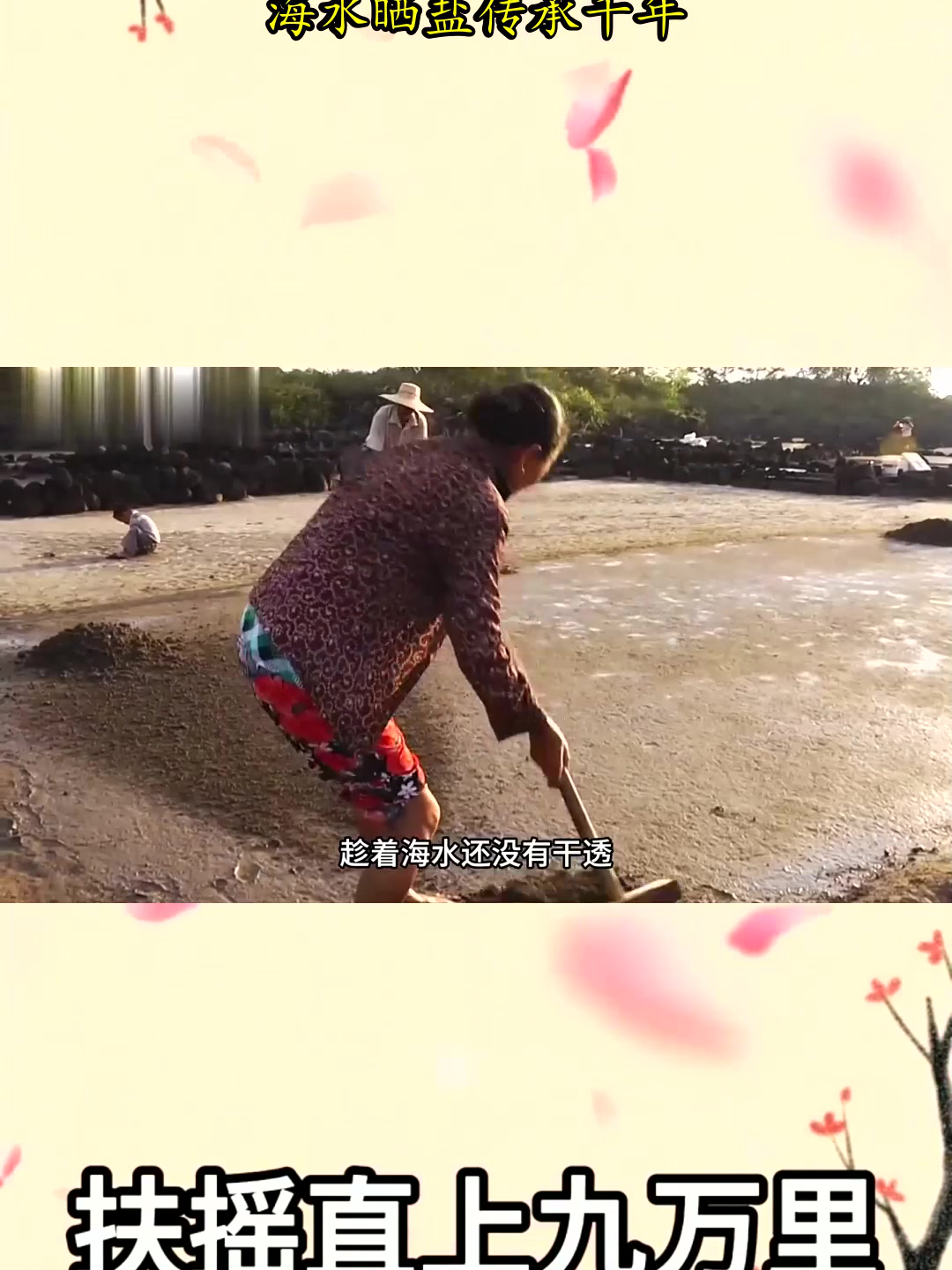 海南奇特的古盐田,海水晒盐传承千年