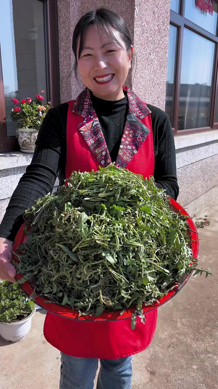 一口鲜荠菜饺子，感受童年的乐趣