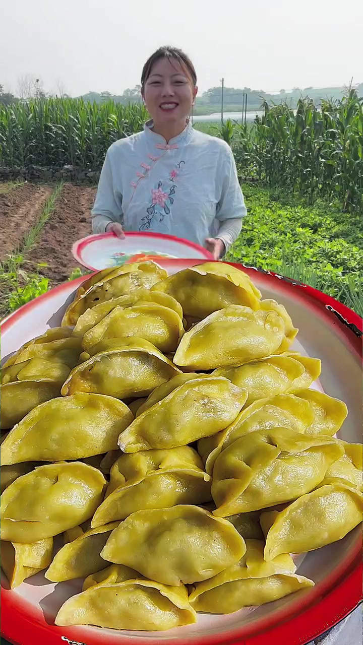 第一次用根达菜包饺子,没想到特别香