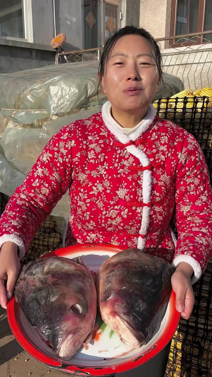 鱼头大不大,铁锅炖的超级香