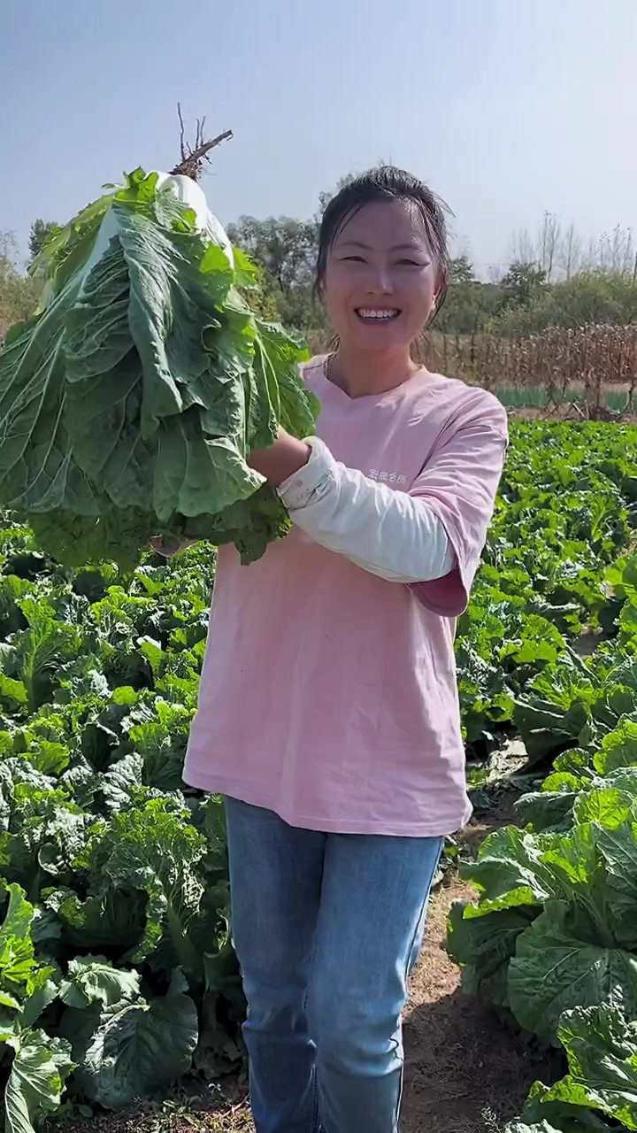 辣白菜每年都做,太好吃了,味道很正