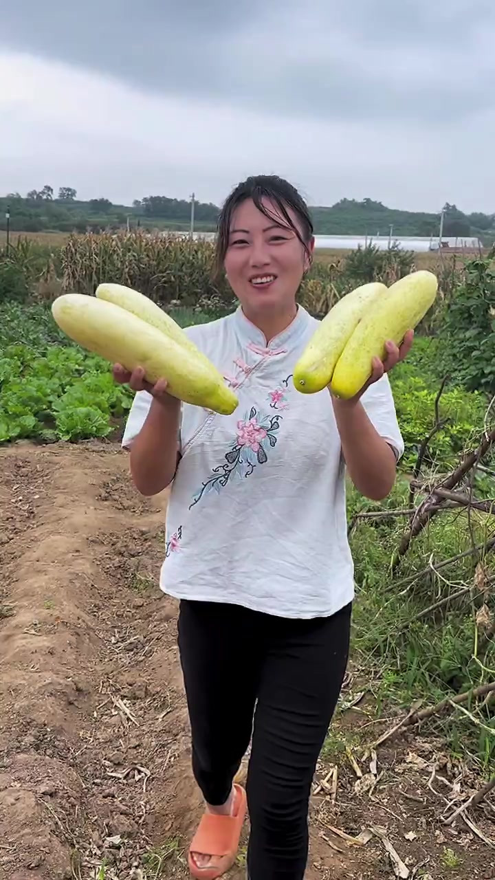 老黄瓜盼了好久了,终于可以做了吃了