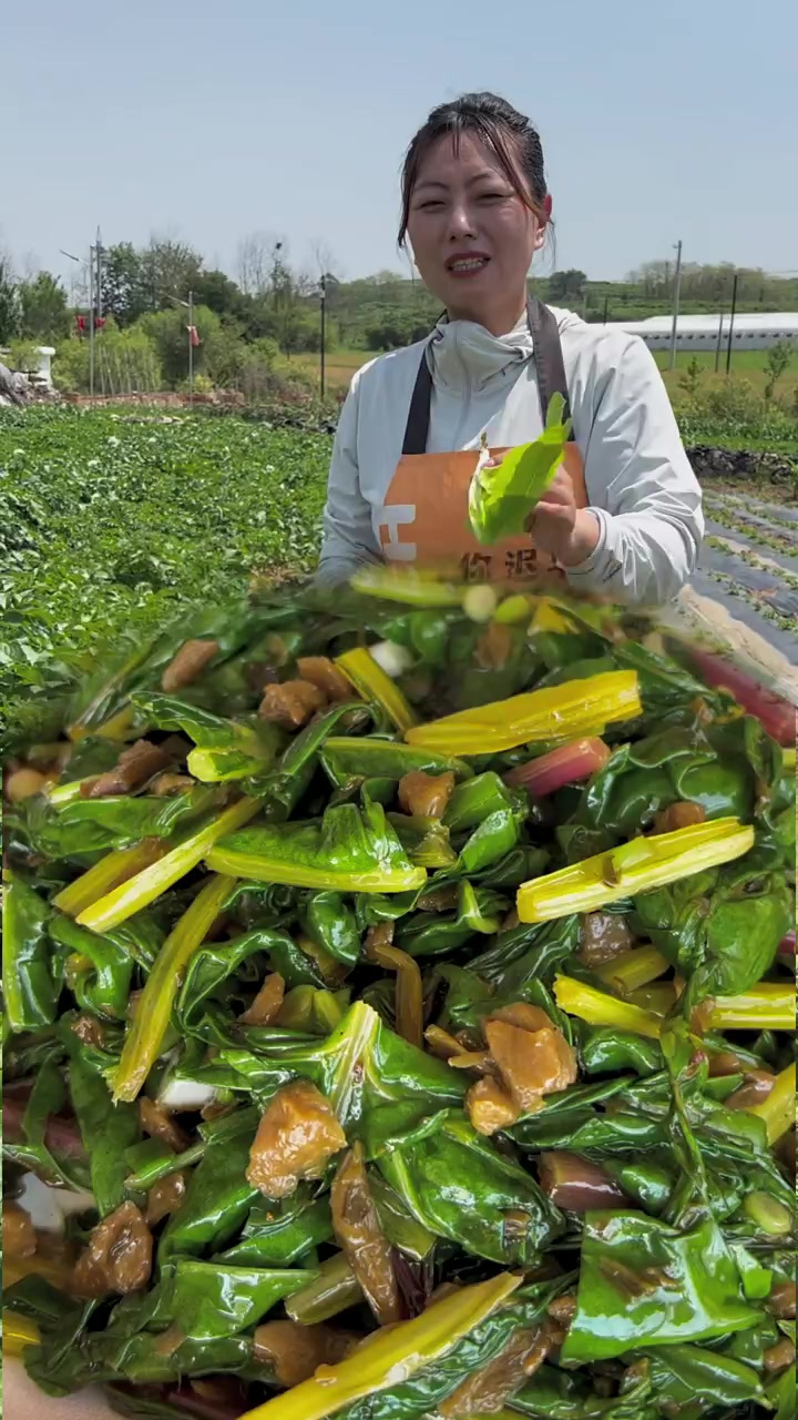 今年的菜园像百宝箱一样,总有惊喜,甜菜叶第一次吃特别好吃
