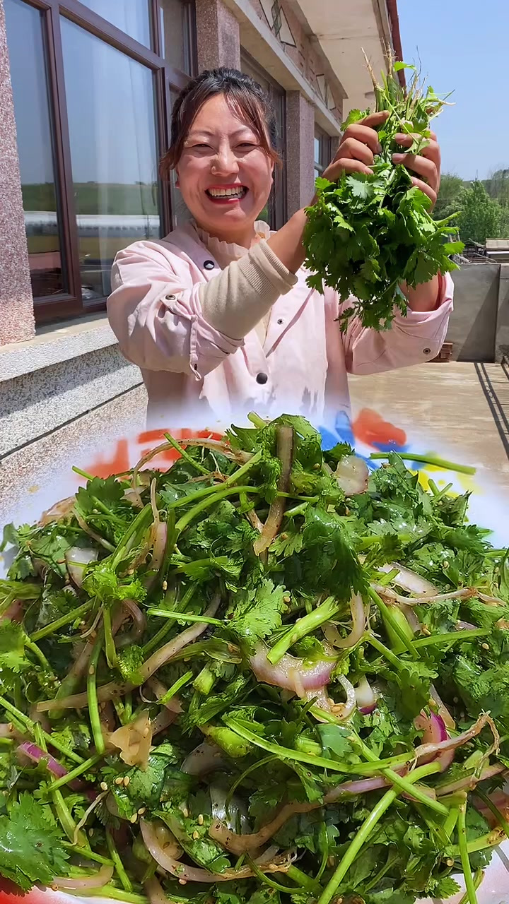 香菜长得太好了,有没有跟我一样喜欢香菜的味道