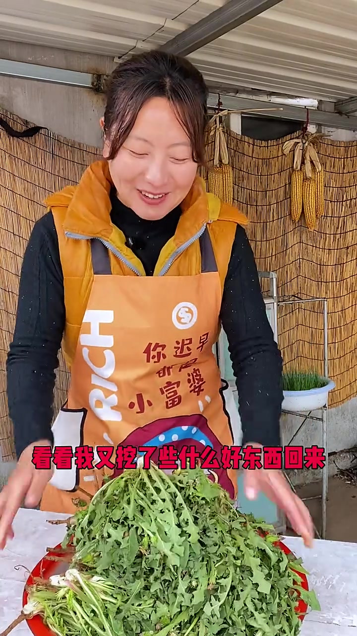 吃野菜的季节，以前婆婆丁都蘸酱吃了，这次做成丸子太好吃了