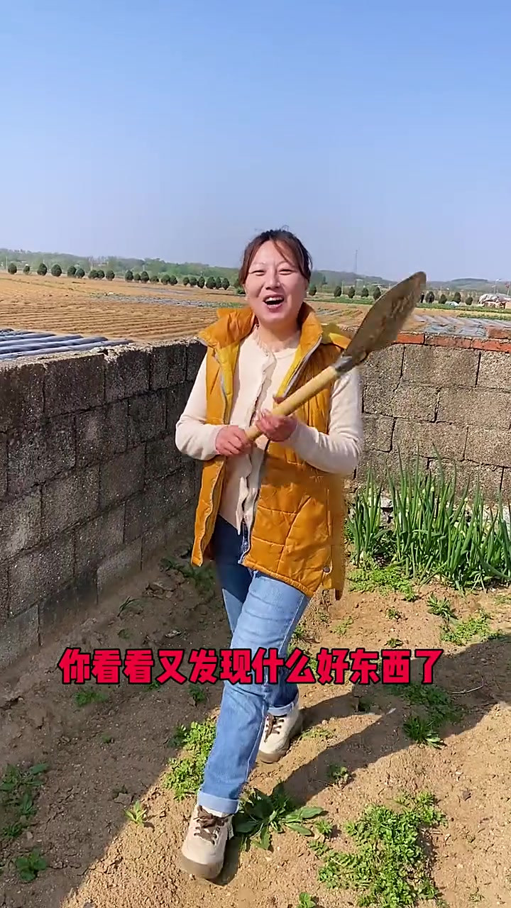 各种的青菜,野菜,吃都吃不完