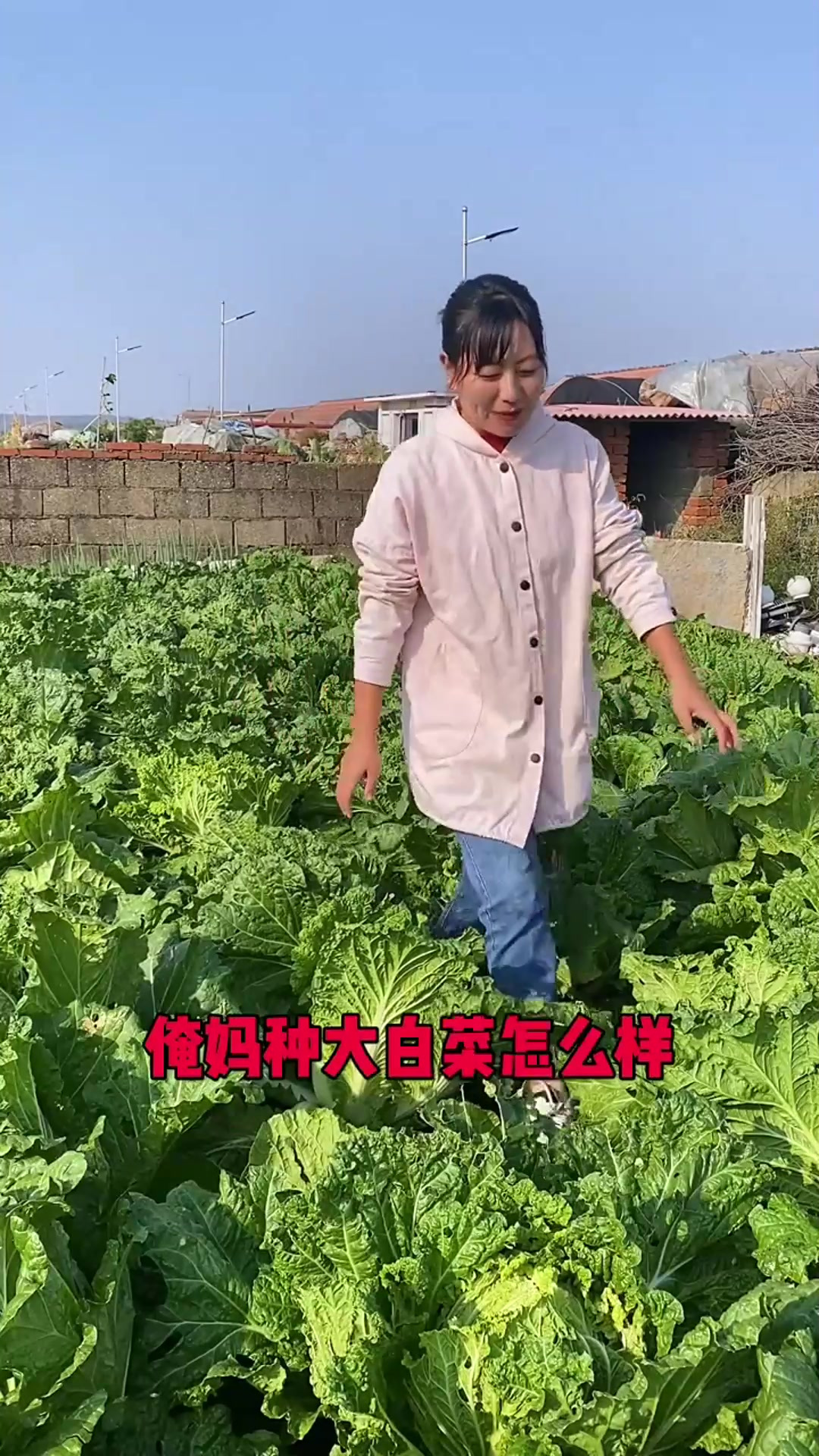 大白菜做成咸菜太下饭了,这个季节就是吃白菜的时候
