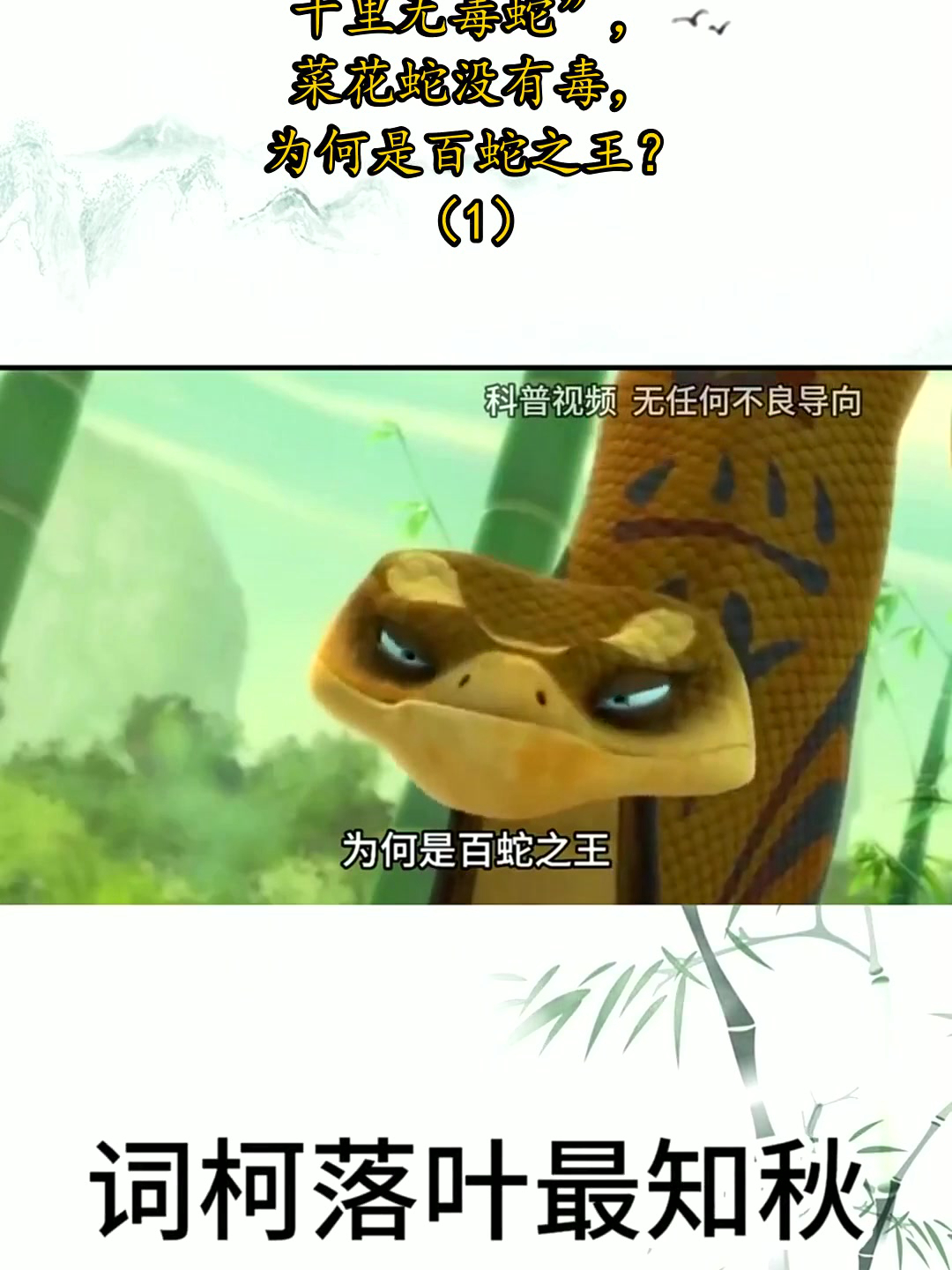 “一里菜花蛇,十里无毒蛇”,菜花蛇没有毒,为何是百蛇之王?