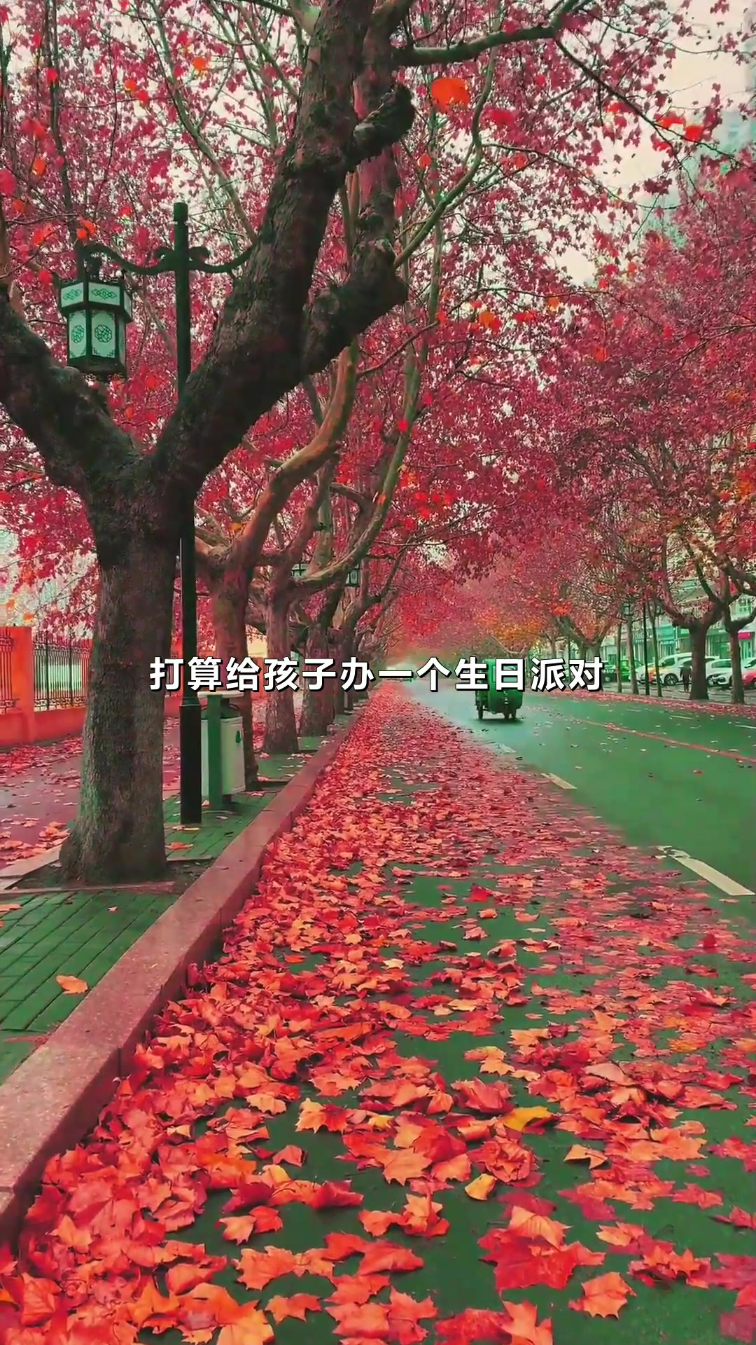 婆婆准备的水果沙拉,造型独特,都舍不得吃,太精致了