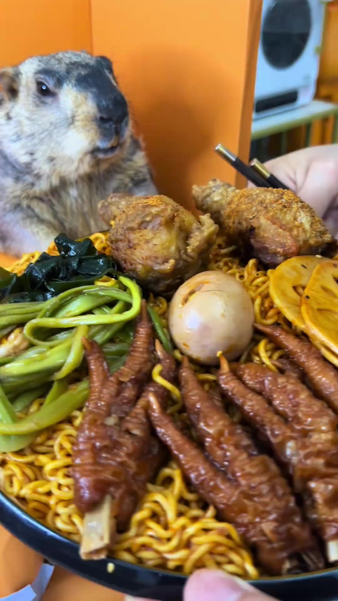 夜宵走起,哎呀妈,太香啦