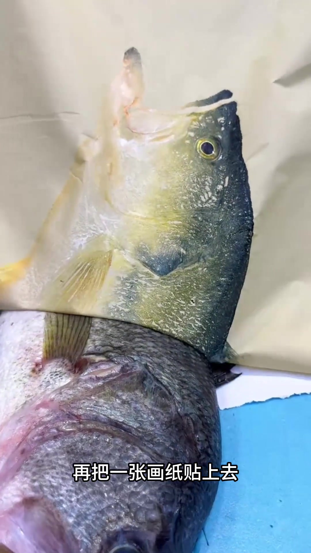 用颜料涂鱼制作独特画作,体验神奇的创意艺术