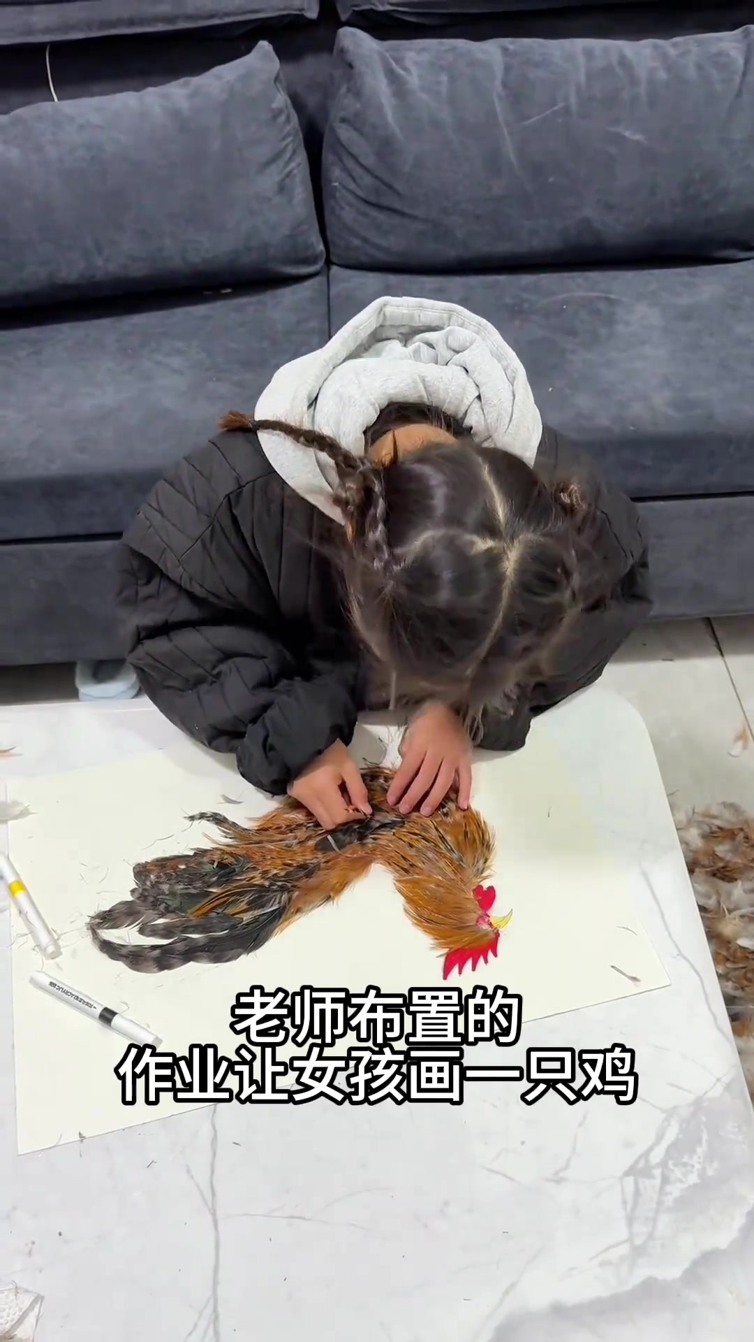 女孩用鸡毛创作插画,真实大公鸡令人惊叹!