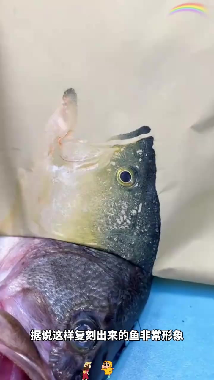 大师以鱼为画布,巧妙复刻生动纹路细节