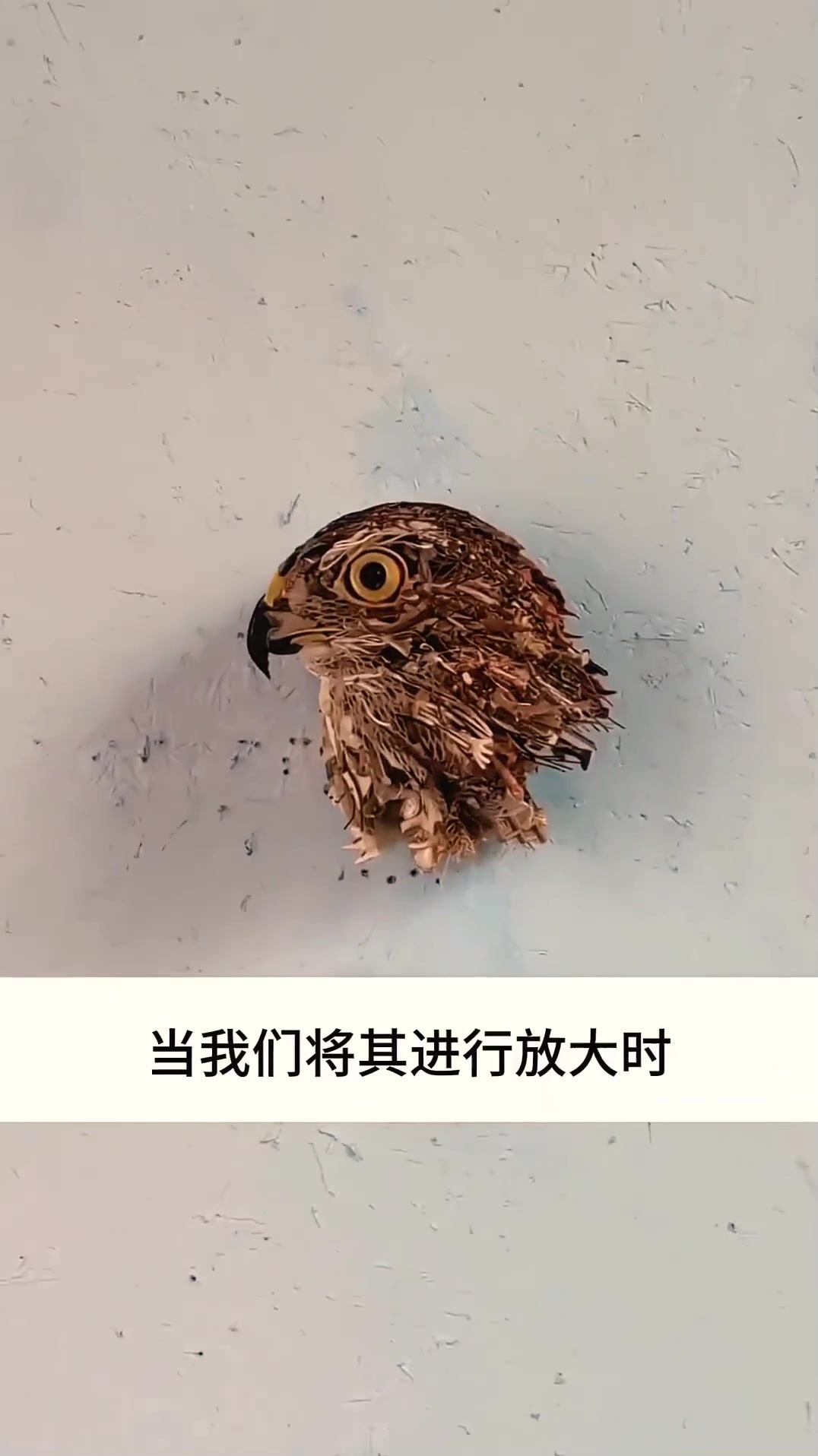 透视艺术天才,他能制作出非常逼真的动物模型