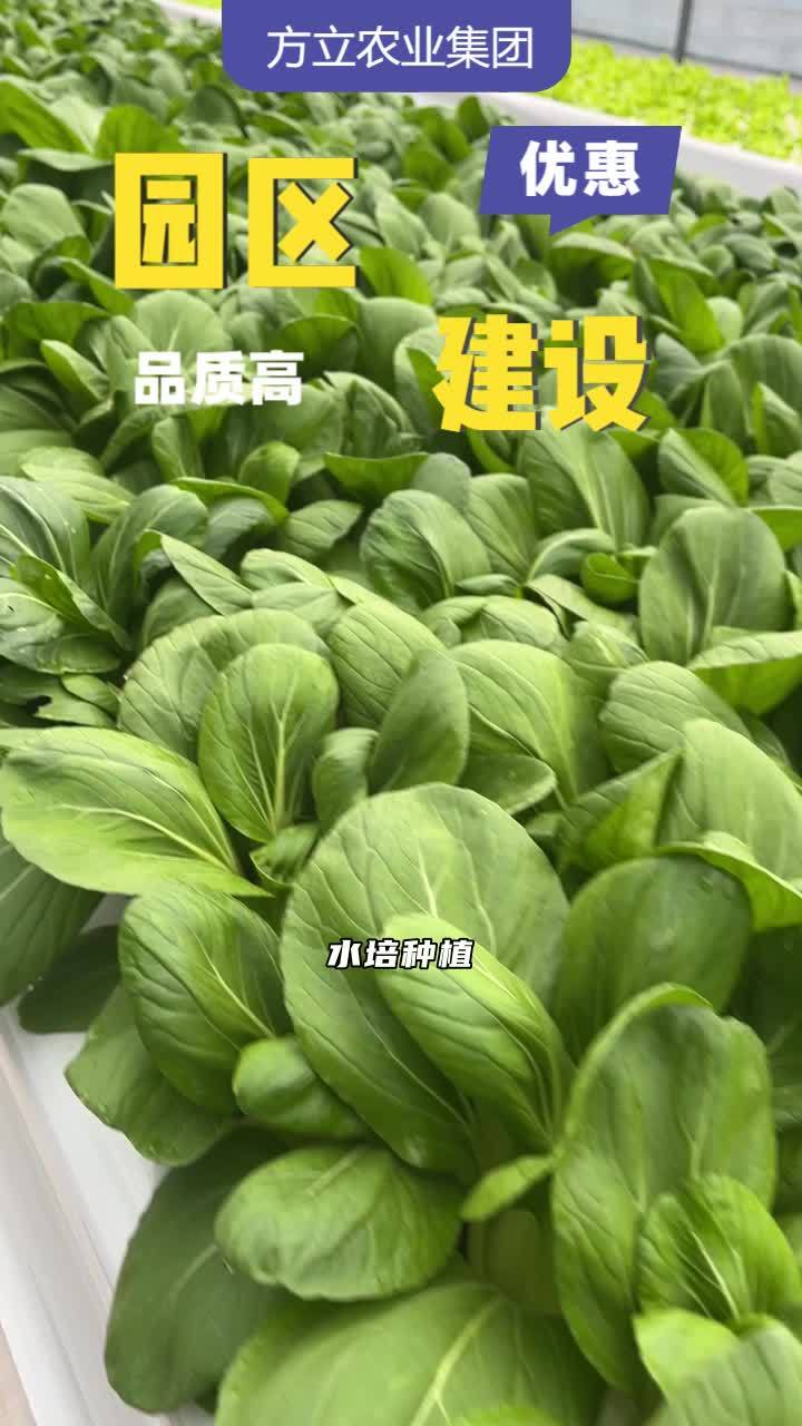 水培蔬菜建设 植物工厂安装 无土栽培设施承建 智能