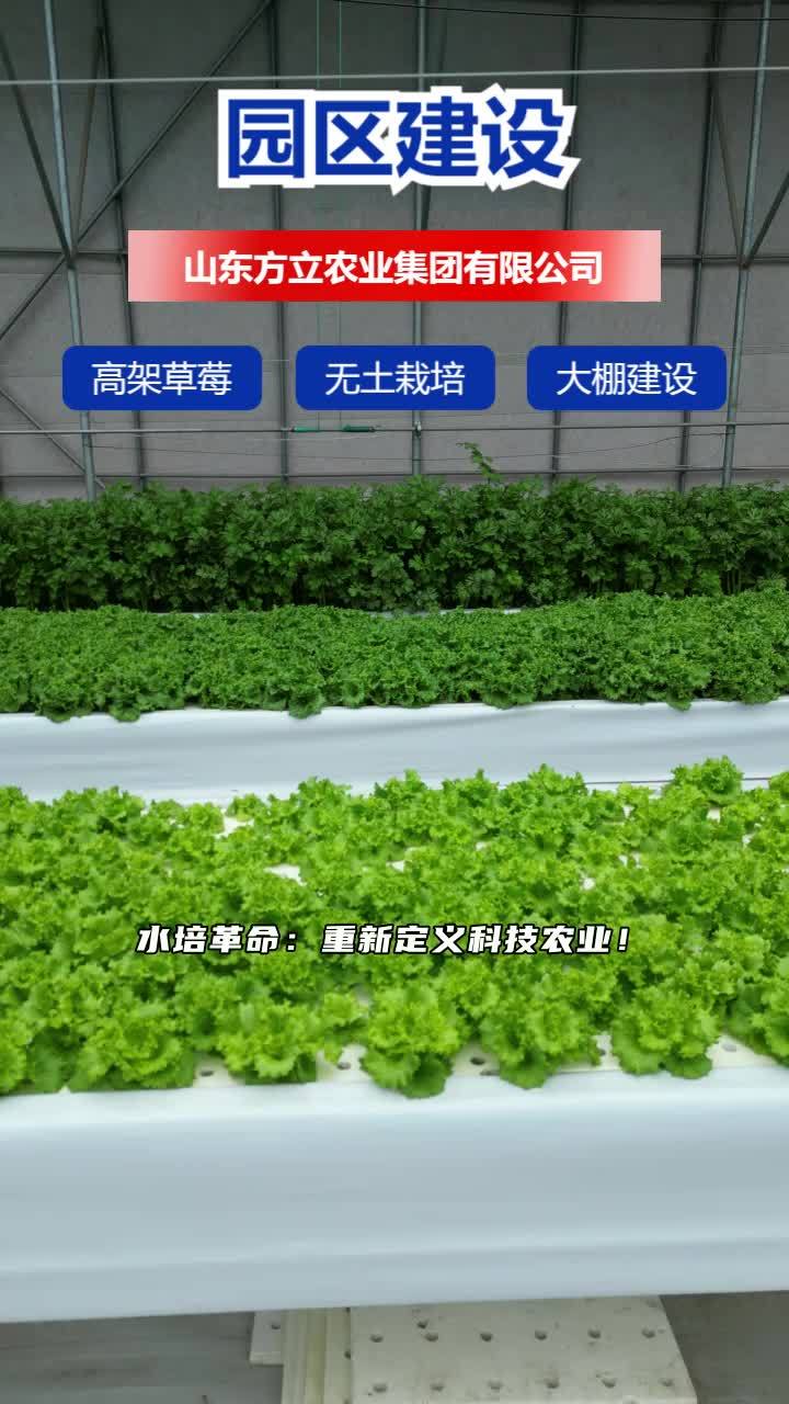 智能温室基地 智能温室种植 水培蔬菜种植 基质栽培