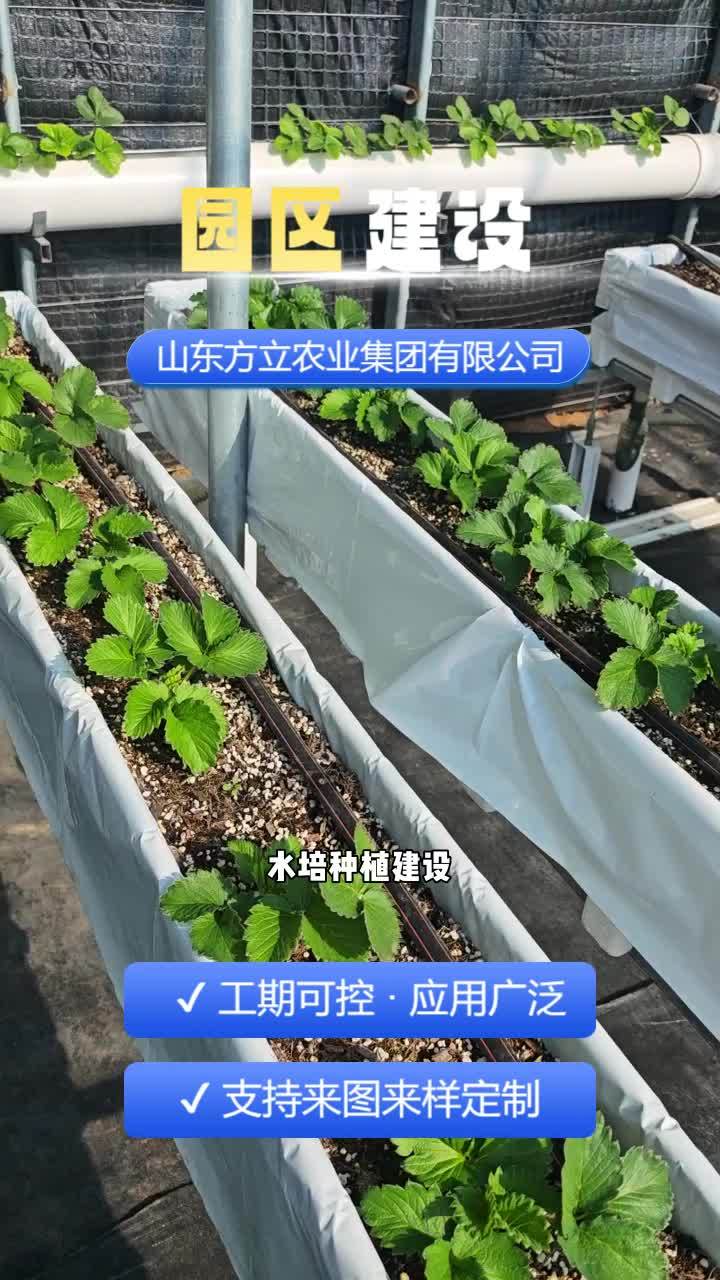 #水培蔬菜基地 #智能温室安装