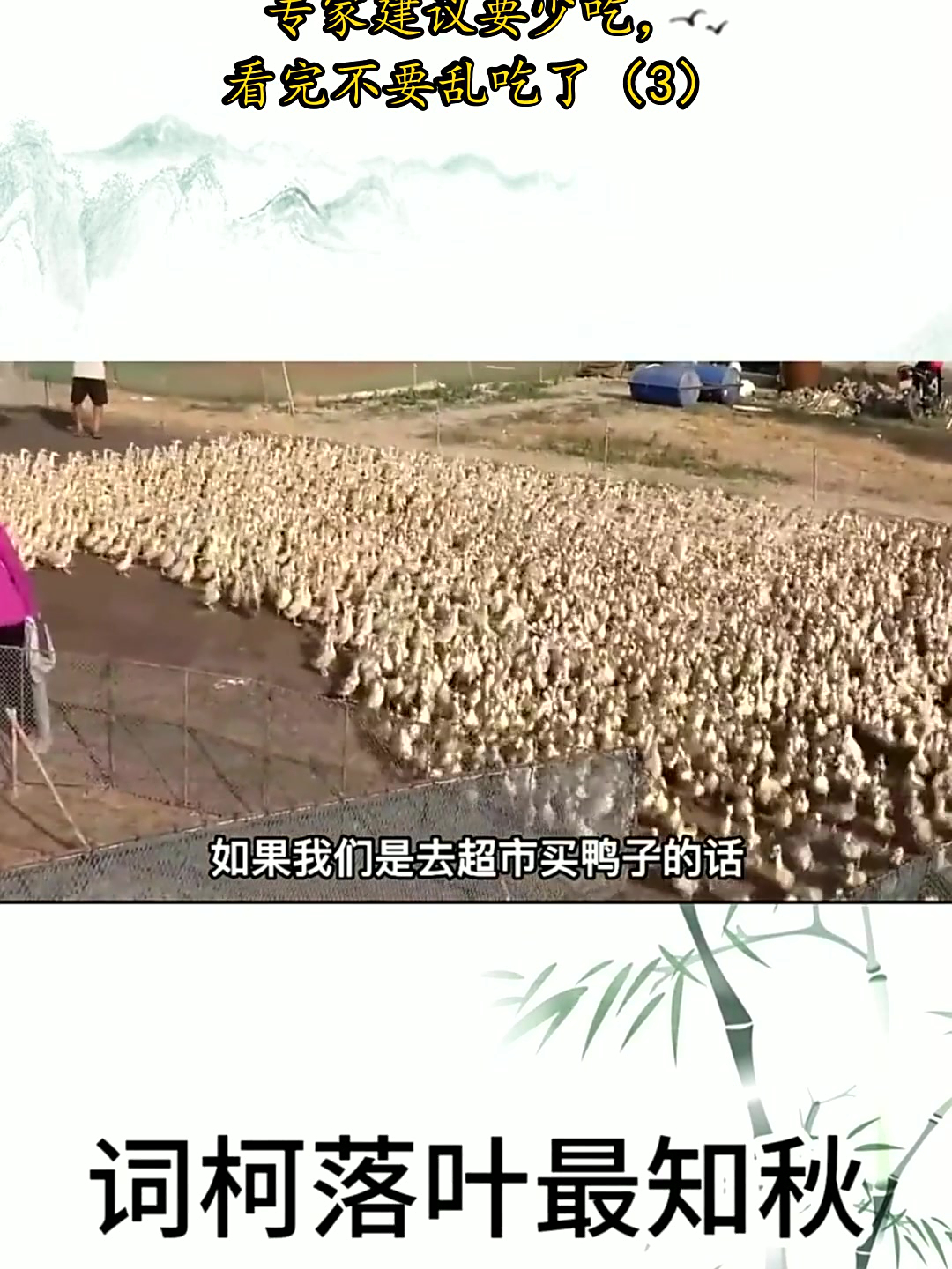 鸭子毒素最重的5个部位，专家建议要少吃，看完不要乱吃了（3）