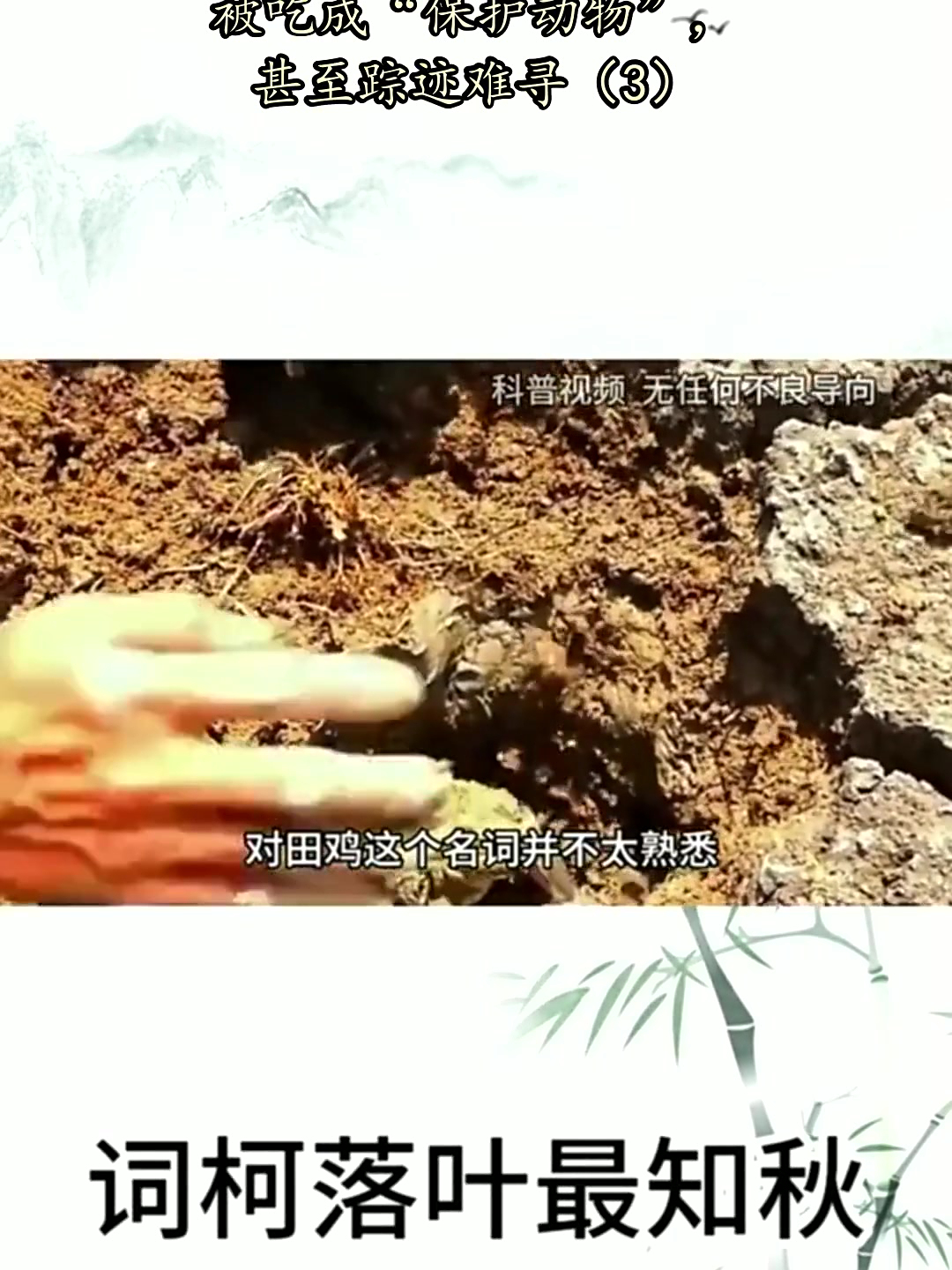 农村慢慢消失的四大野味，被吃成“保护动物”，甚至踪迹难寻3