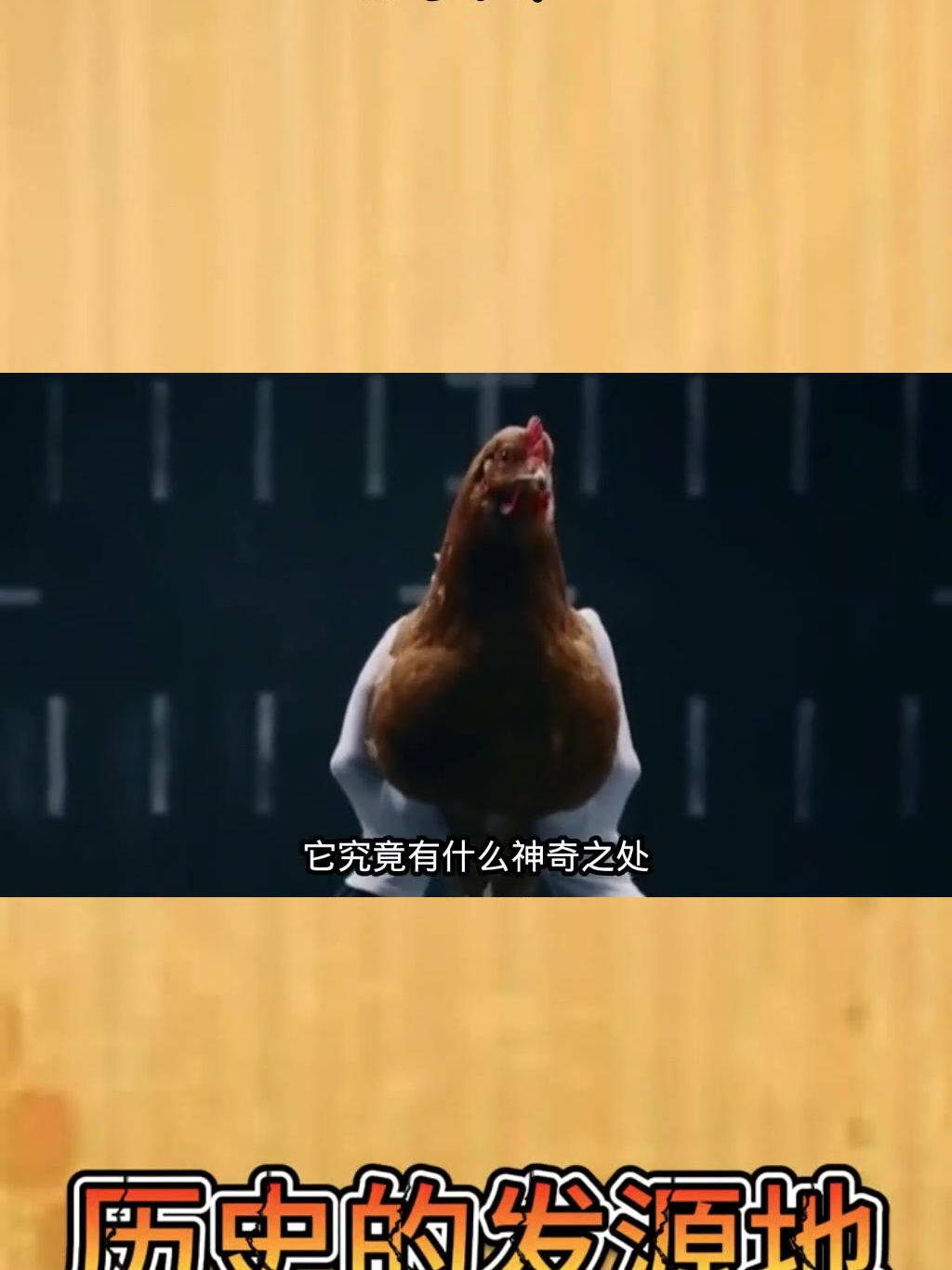 无论你如何摇晃鸡的身体,鸡头总是保持稳定,这是为什么?