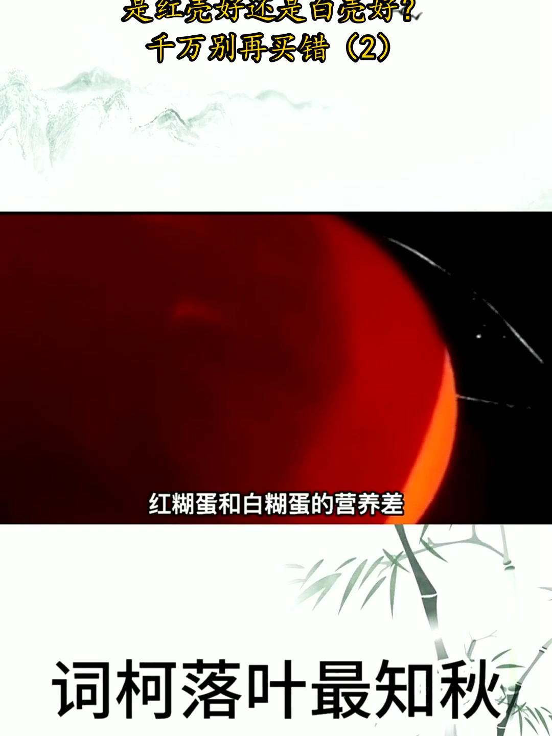 为何鸡蛋壳颜色会不同？是红壳好还是白壳好？千万别再买错（2）