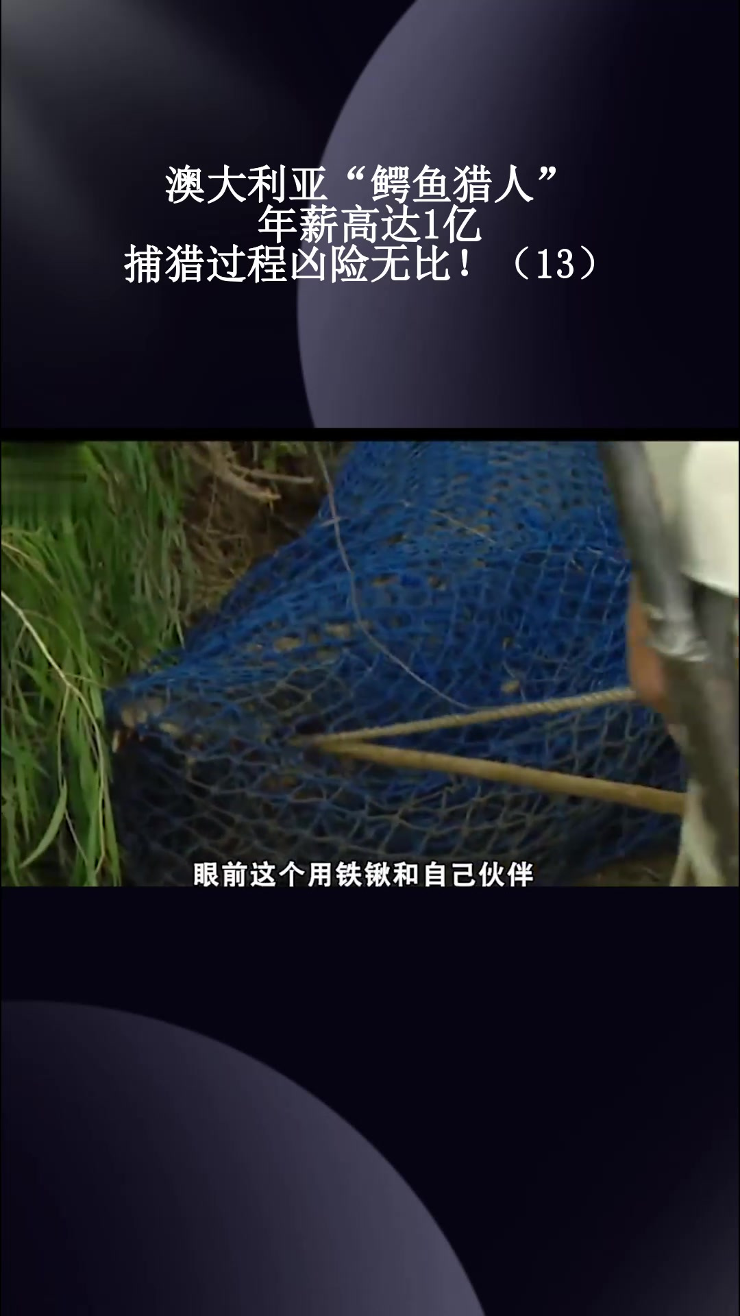 澳大利亚“鳄鱼猎人”:年薪高达1亿,捕猎过程凶险无比!(13)