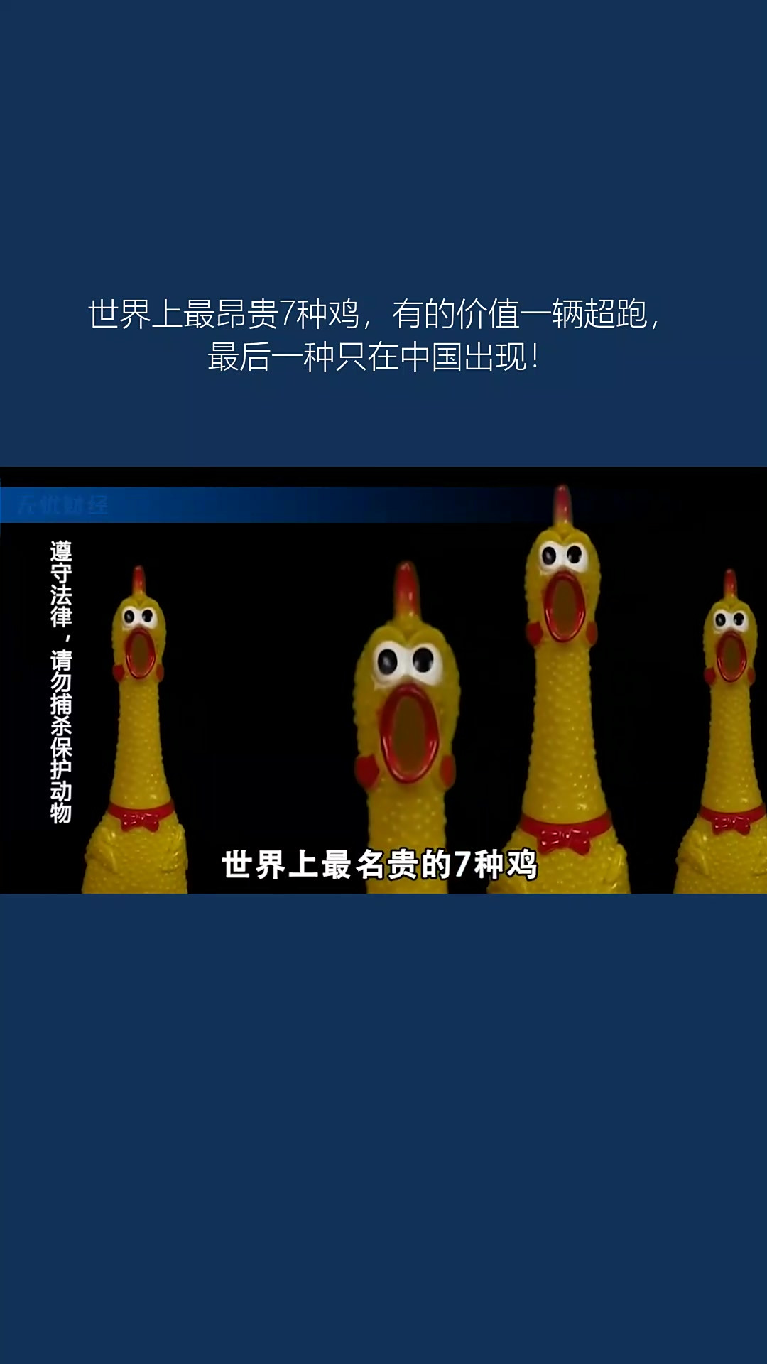 世界上最昂贵7种鸡,有的价值一辆超跑,最后一种只在中国出现!