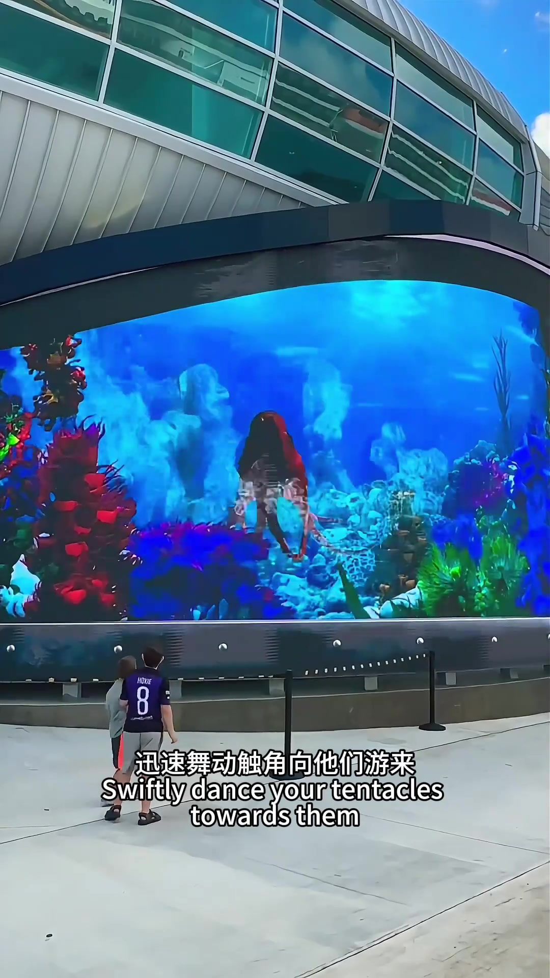 《水族馆惊现“真实”大章鱼,孩子们一惊而退的奇幻体验》