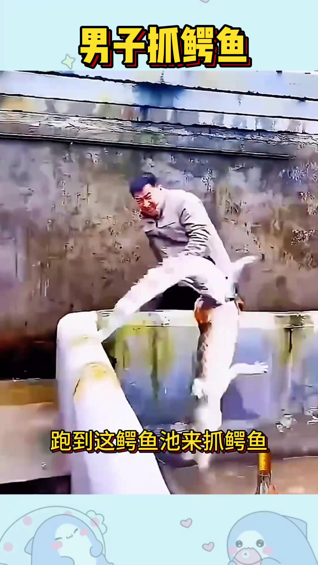 男子用钳子控制鳄鱼