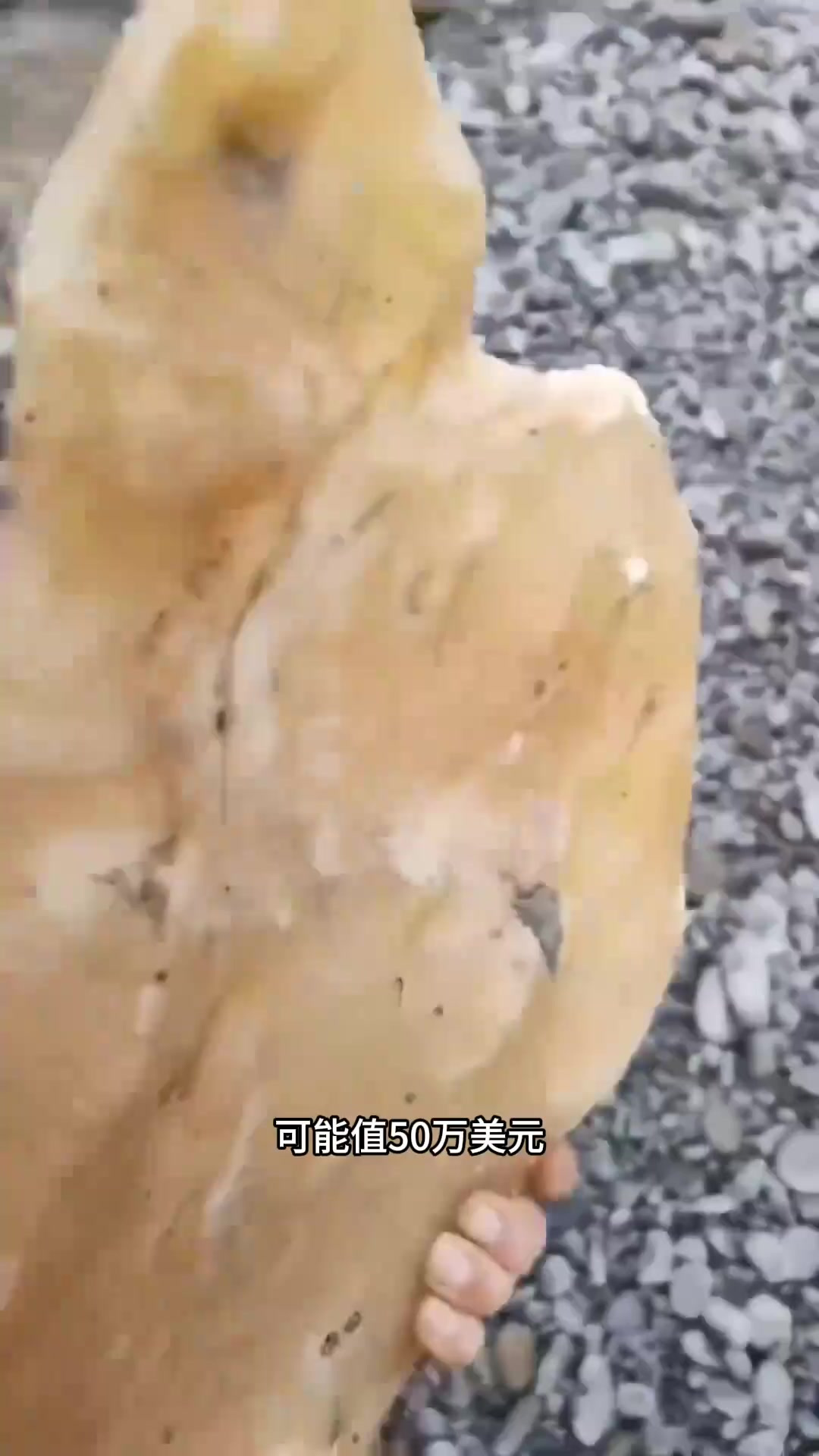 鲸鱼的呕吐物或排泄物