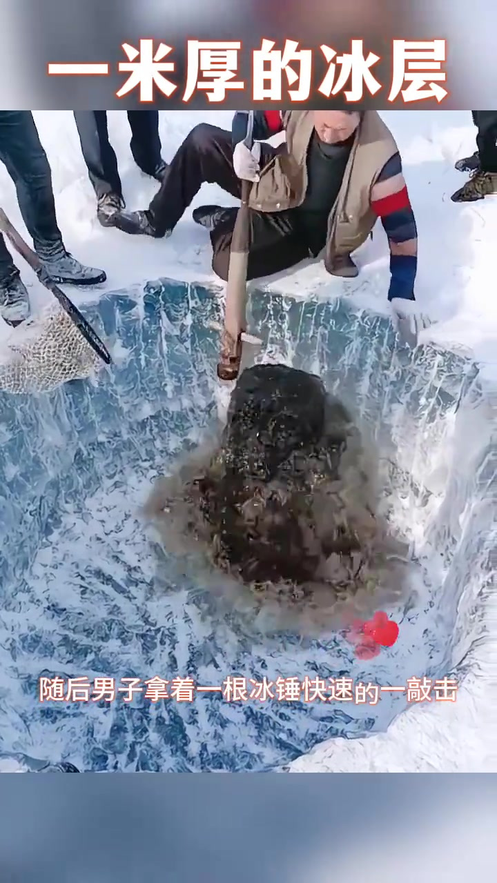 冬季冰层之下的黑水与小鱼:湖水为何变黑的奥秘揭秘