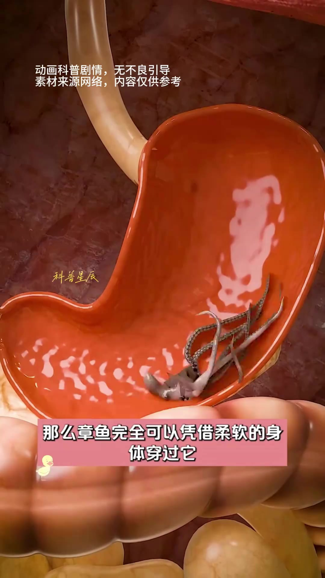 生吞活章鱼会怎么样