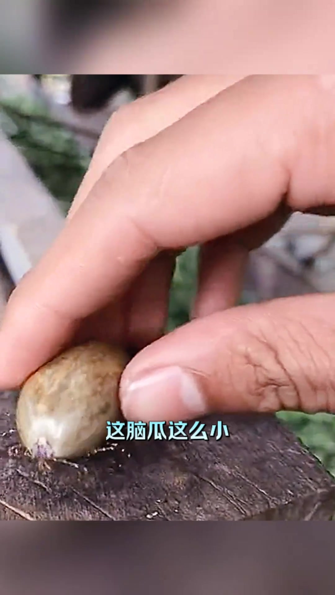“小脑袋大肚子,这是什么奇怪的生物?”