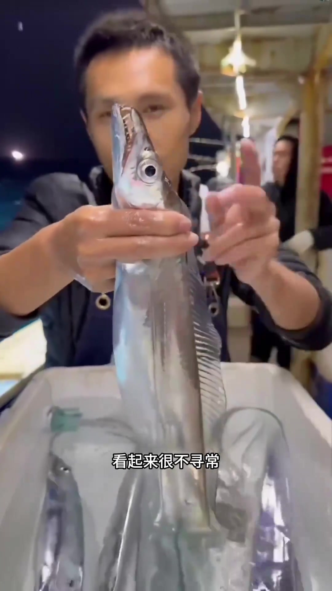 神秘丝带鱼:热带海洋中的银色捕食者与美味诱惑