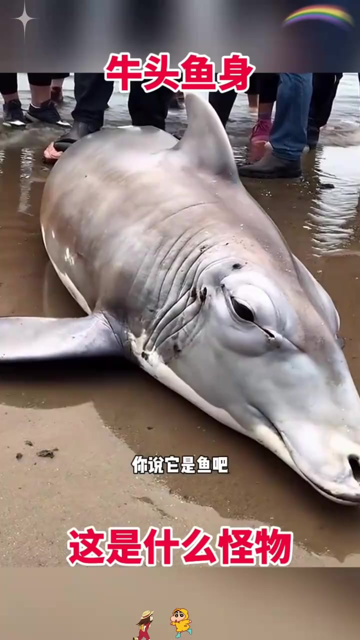 牛头鱼身,这是什么怪物!