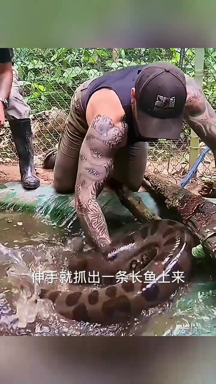 身上纹身与水中鱼相似，捕获奇妙缘分的瞬间